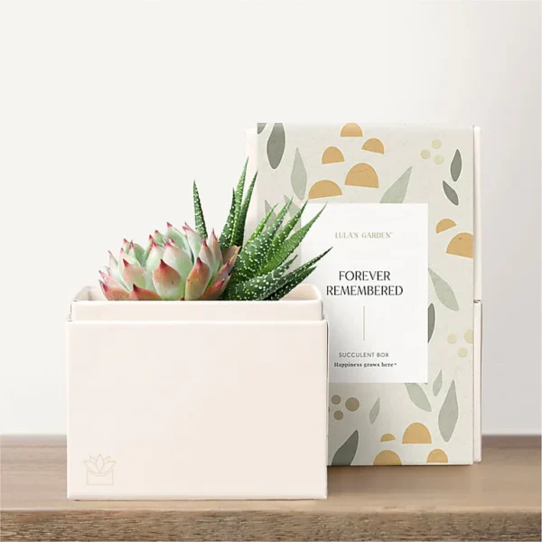 4483_LOL_preset_ftd-mx-hero-sv-new Lula's Garden - Get Well Petite Gardens