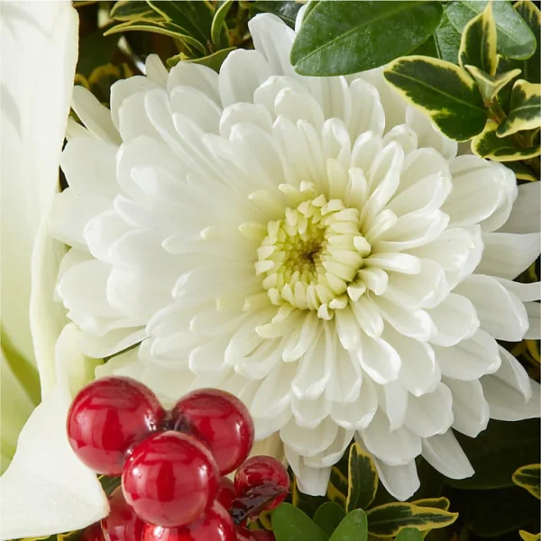 Festive Moments Tree