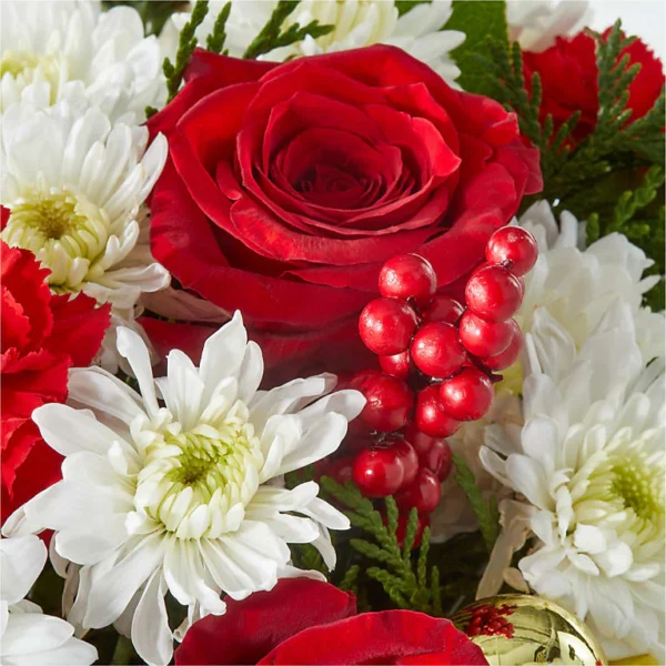 C2D_MAC_preset_ftd-mx-hero-sv-new Merry Magic Nutcracker