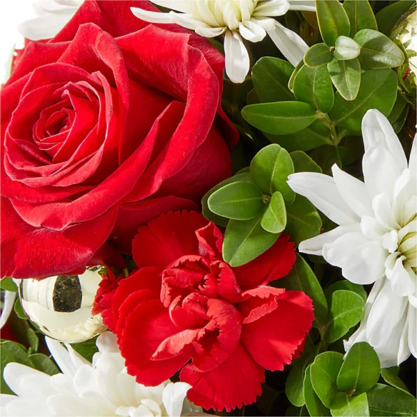 C9P_MAC_preset_ftd-mx-hero-sv-new Royal Nutcracker Tree