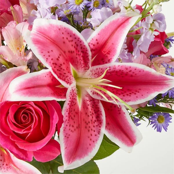 CAAD_MAC_preset_ftd-mx-hero-sv-new Pressing Petals Bouquet