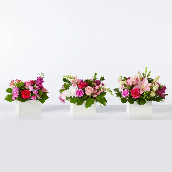 Sweetberry Box – A Florist Original