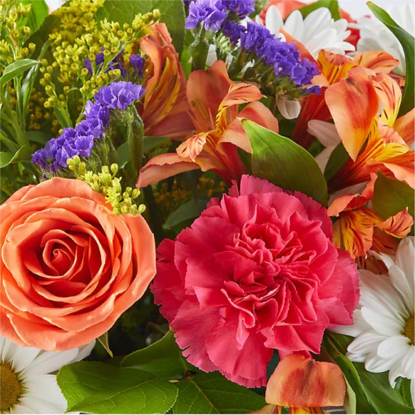 CJAD_MAC_preset_ftd-mx-hero-sv-new Oopsie Daisy Box Bouquet