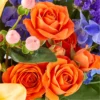 CJBE_MAC_preset_ftd-mx-hero-sv-new Radiant Citrus Box Bouquet