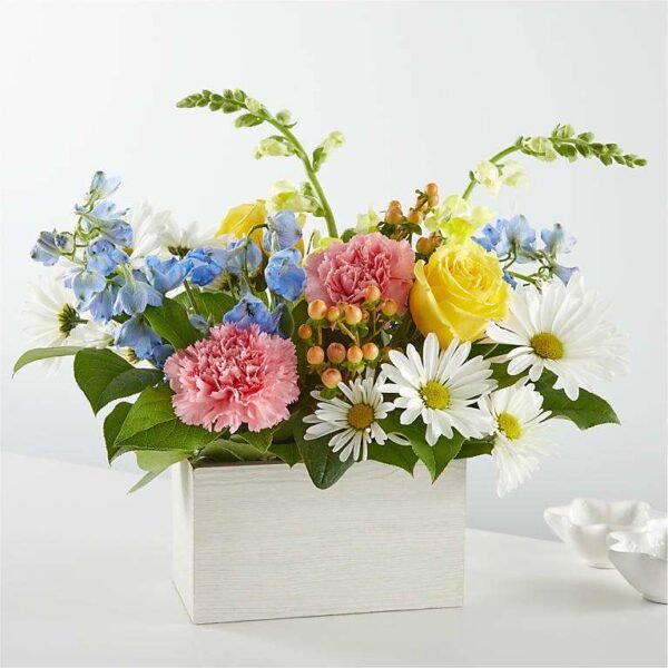 CLLD_LOL_preset_ftd-mx-hero-sv-new Sun Salutation Box Bouquet