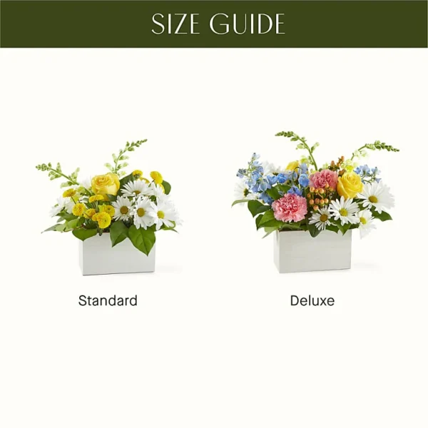 CLL_SCALE_preset_ftd-mx-hero-sv-new Sun Salutation Box Bouquet