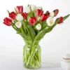 CandyCaneTulips Candy Cane Tulips