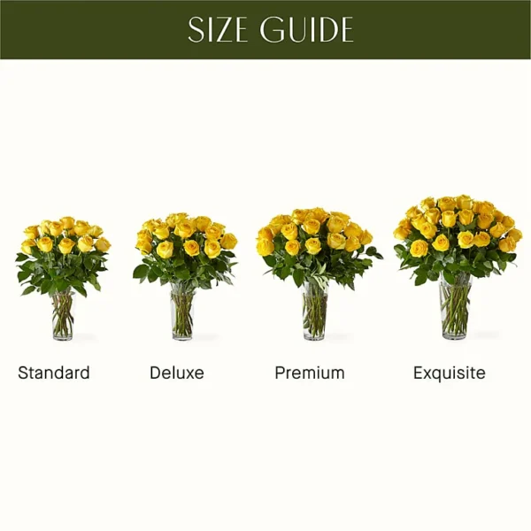 E5436_SCALE_preset_ftd-mx-hero-sv-new Long Stem Yellow Rose Bouquet