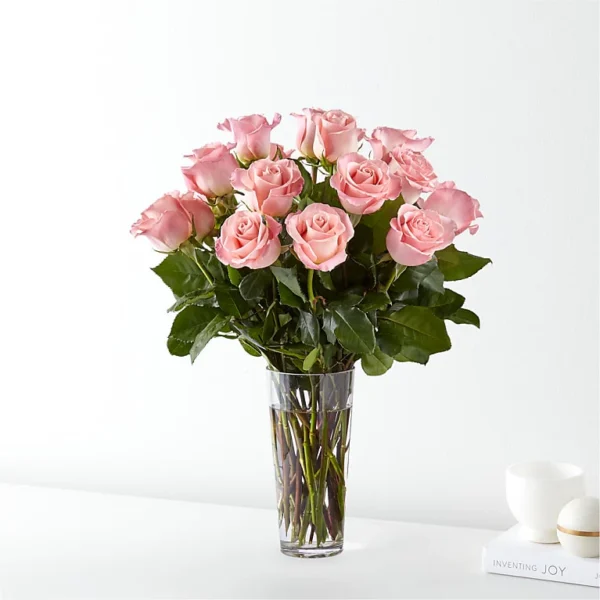 E5440D_LOL_preset_ftd-mx-hero-sv-new Long Stem Pink Rose Bouquet