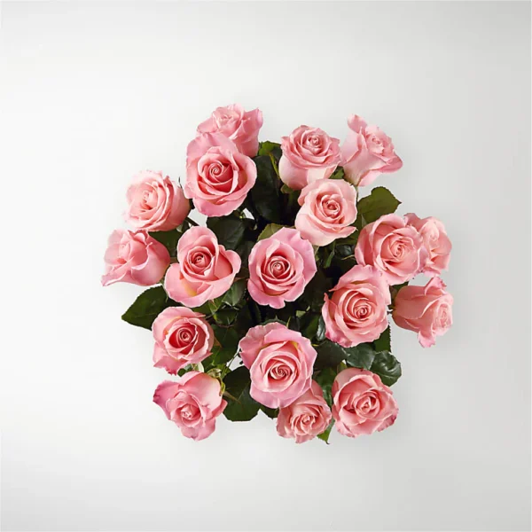E5440D_TOP_preset_ftd-mx-hero-sv-new Long Stem Pink Rose Bouquet