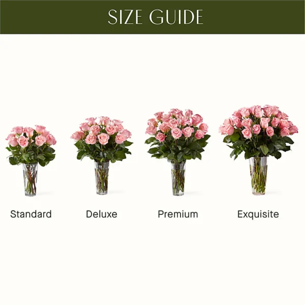 E5440_SCALE_preset_ftd-mx-hero-sv-new Long Stem Pink Rose Bouquet