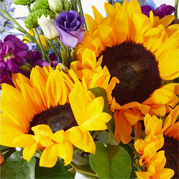 F5511E_MAC_preset_ftd-mx-hero-sv-new Catching Rays Bouquet