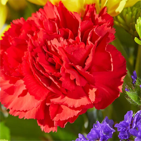 Brighter Days Bouquet