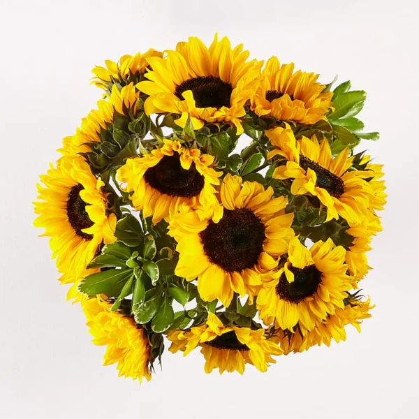 Honey Bee Sunflower Bouquet