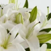 Faithful Blessings Bouquet