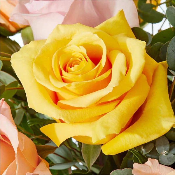 FE216_MAC_preset_ftd-mx-hero-sv-new Favorite Things Bouquet