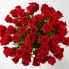 Fifty Long Stem Red Roses