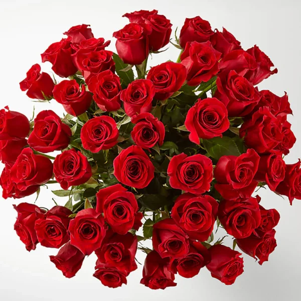 Fifty Long Stem Red Roses