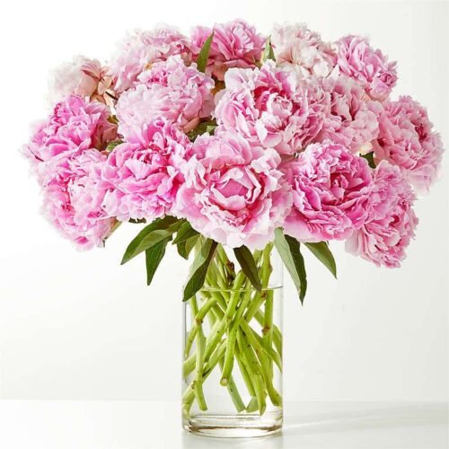Fresh Peony Bouquet