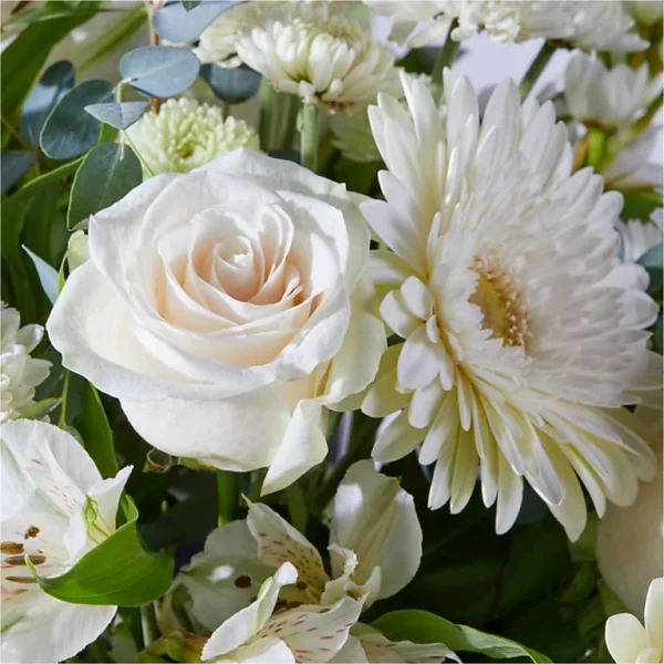 New Beginnings – A Florist Original