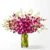 FS209D_LOL_preset_ftd-mx-hero-sv-new Positively Purple Orchid Bouquet