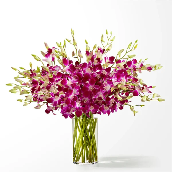 FS209D_LOL_preset_ftd-mx-hero-sv-new Positively Purple Orchid Bouquet