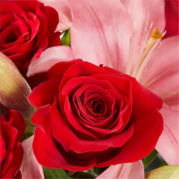 Affectionate Bouquet