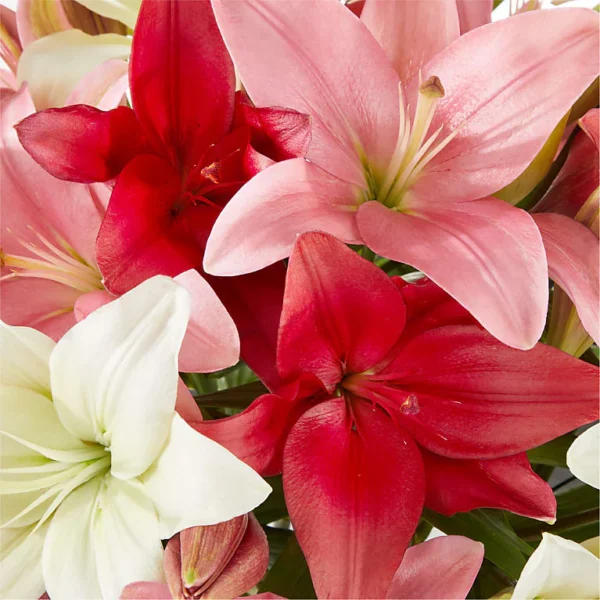 FV205_MAC_preset_ftd-mx-hero-sv-new It's Fate Lily Bouquet