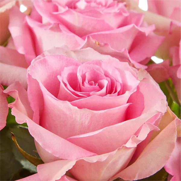 Fairytale Pink Rose Bouquet