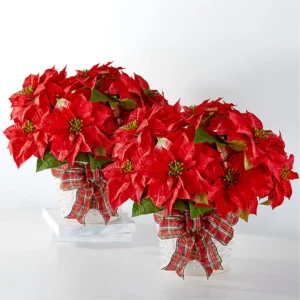 HappiestHolidaysPoinsettiaBundle Fiesta Bouquet