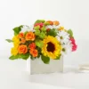 M3D_LOL_preset_ftd-mx-hero-sv-new Sun-drenched Blooms Box Bouquet