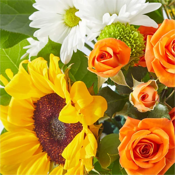 M3D_MAC_preset_ftd-mx-hero-sv-new Sun-drenched Blooms Box Bouquet