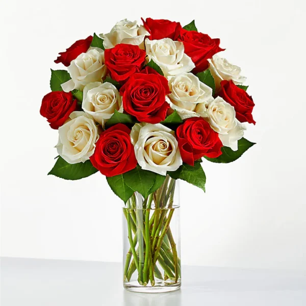 One and a Half Dozen Santa Baby Roses