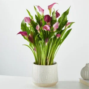 Holiday Fronds Bouquet