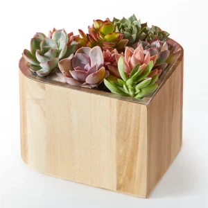 P4032_LOL_preset_ftd-mx-tile-wide-lv-new Fiesta Bouquet