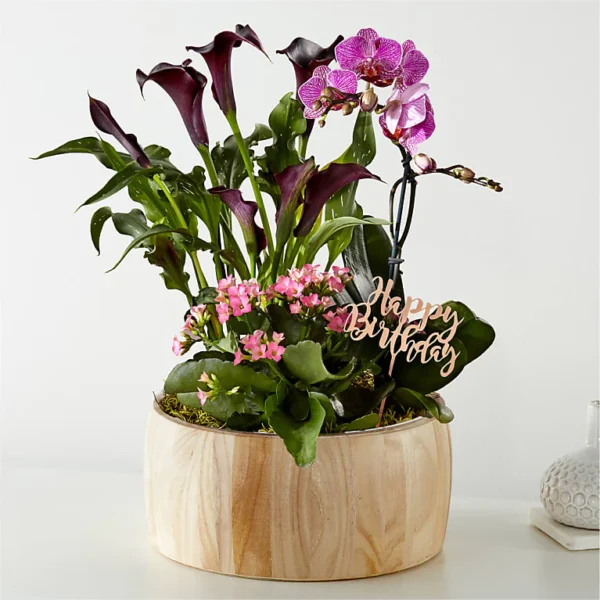 Happy Birthday Orchid Garden