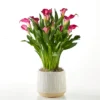 P4045_LOL_preset_ftd-mx-hero-sv-new My Darling Pink Calla Lily Plant