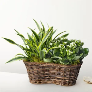 P4216FL_LOL_preset_ftd-mx-hero-sv-new Fiesta Bouquet