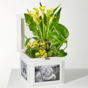 Better Together Blooming Garden