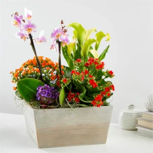 ACORN LANE BOUQUET