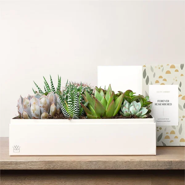 P4425_LOL_preset_ftd-mx-hero-sv-new Lula's Garden - Sympathy Premium Gardens