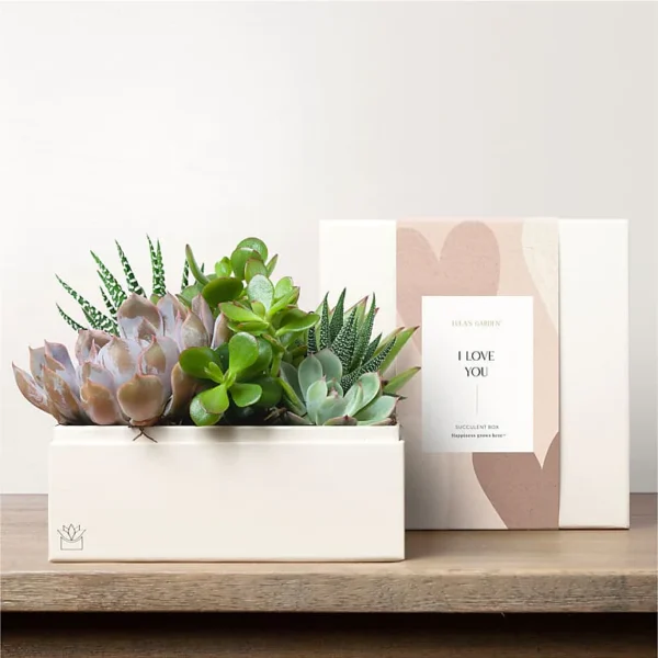 P4439_LOL_preset_ftd-mx-hero-sv-new Lula's Garden - Love Premium Gardens