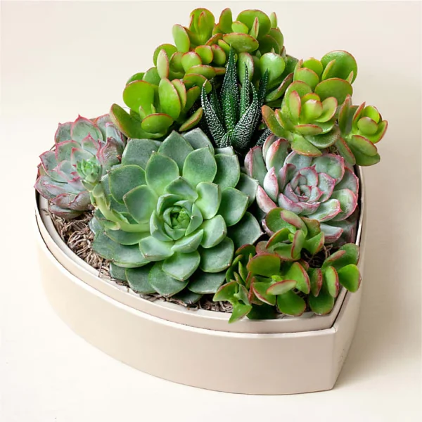 P4465_ALT_V1_preset_ftd-mx-hero-sv-alt Lula's Heart Garden