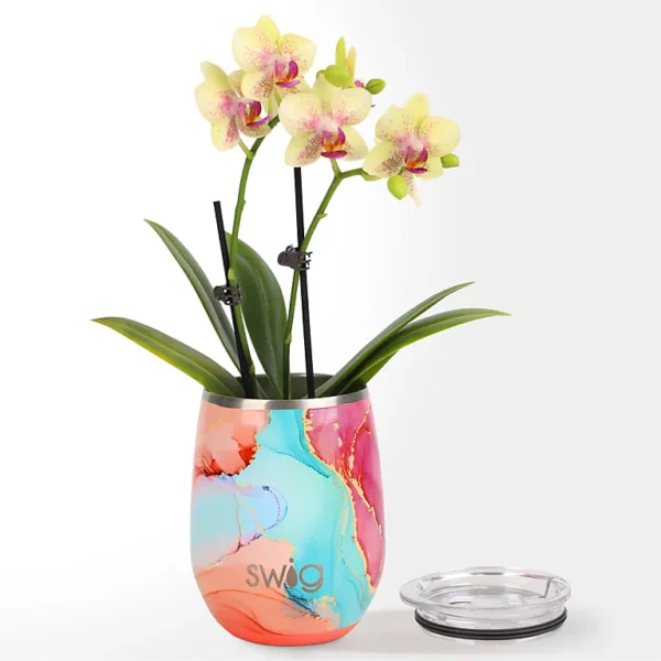 P4520_ALT_V1_preset_ftd-mx-hero-sv-alt Dreamsicle Orchid in Swig(R) Cooler Cup