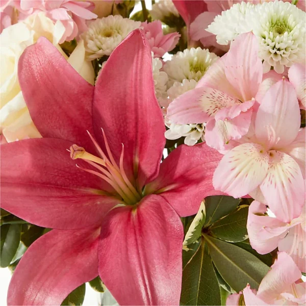 V5590D_MAC_preset_ftd-mx-hero-sv-new Piece of Cake Bouquet