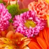 V5594S_MAC_preset_ftd-mx-hero-sv-new Soiree Bouquet