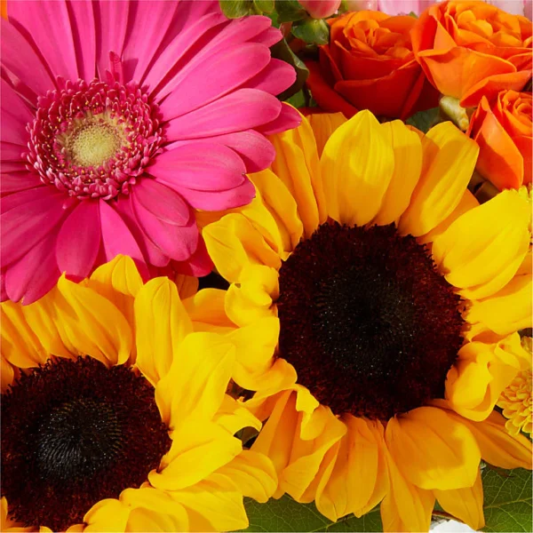 V5596P_MAC_preset_ftd-mx-hero-sv-new Beach Day Bouquet