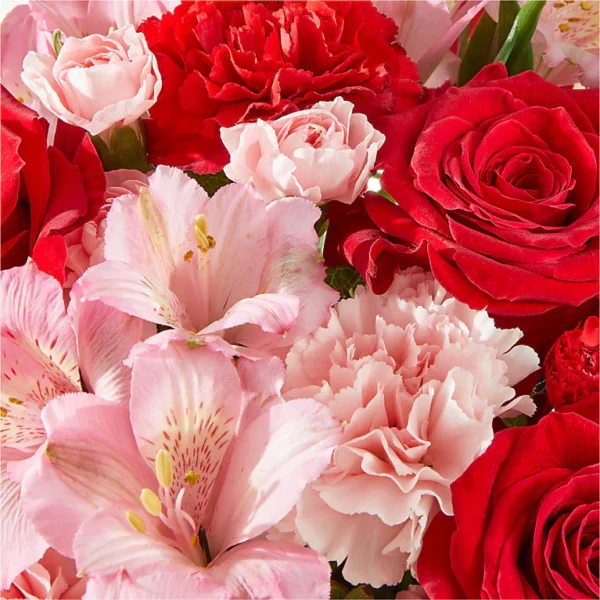 V5636E_MAC_preset_ftd-mx-hero-sv-new Candy Kisses Bouquet